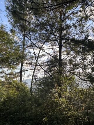 床单磨毛加厚斜纹暖绒单人双人被单四季通用舒适面料