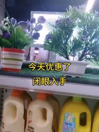 随拍生活记录