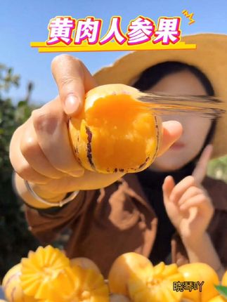 云南石林树上熟人参果,清甜多汁,果肉饱满,汁水丰富!#人参果 #云南人参果 #水果 #现摘现发新鲜到家 #优质农产品