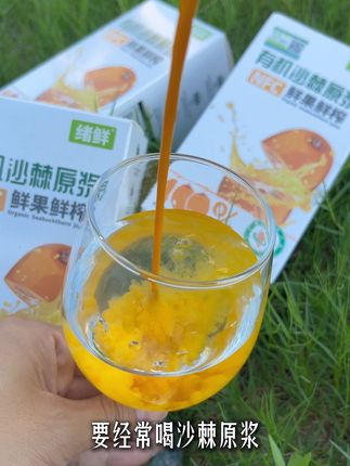 为什么过了30岁,女人要经常喝沙棘原浆?#绪鲜沙棘原浆 #有机沙棘原浆 #强烈推荐