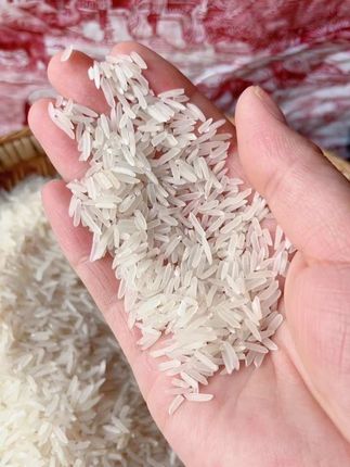 醇香猫牙米新米,煮饭香到犯规!生态梯田晚稻,现磨现发锁足营养。饭粒饱满松软,口感香糯,孩子超爱吃,家庭聚餐必备~#猫牙米 #香米 #妈呀太香了 #美食推荐#大米