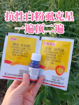 #白粉虱 #杀虫剂 #病虫害防治 #农业种植