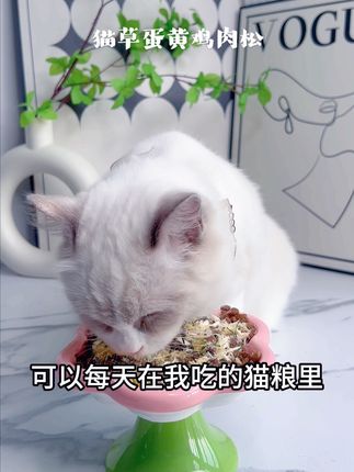 掉毛季猫咪舔进肚子里毛毛不及时排出,就会出现频繁母鸡蹲,吐毛球,化毛一定要安排这个猫草蛋黄鸡肉松,温和排毛同时还能拌粮兑水猫咪挑嘴小猫咪#萌宠好物 #萌宠出道计划 #科学养宠攻略 #好物推荐🔥 #新手养猫