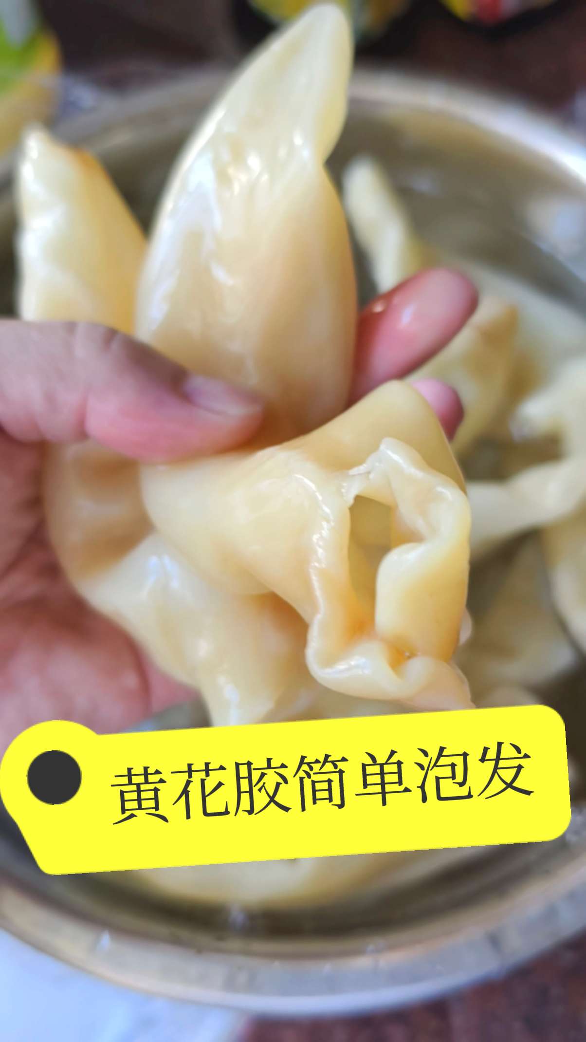 看的出来这是多少头黄花胶?#黄花胶 #黄花胶干货 #黄花胶筒 #鱼胶 #鱼胶花胶