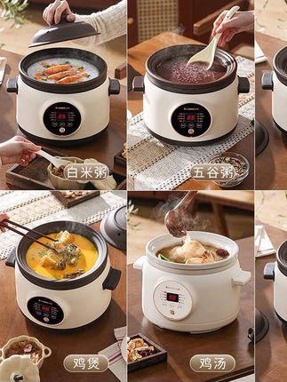 志高电炖锅婴儿辅食锅陶瓷家用全自动炖汤煲汤锅电砂锅煮粥专用锅