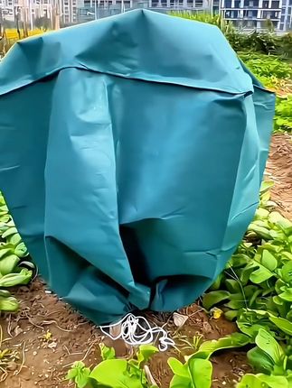 #冬季防寒果树罩#植物越冬防寒罩#加厚无纺布防冻果树木透气防冻罩子#