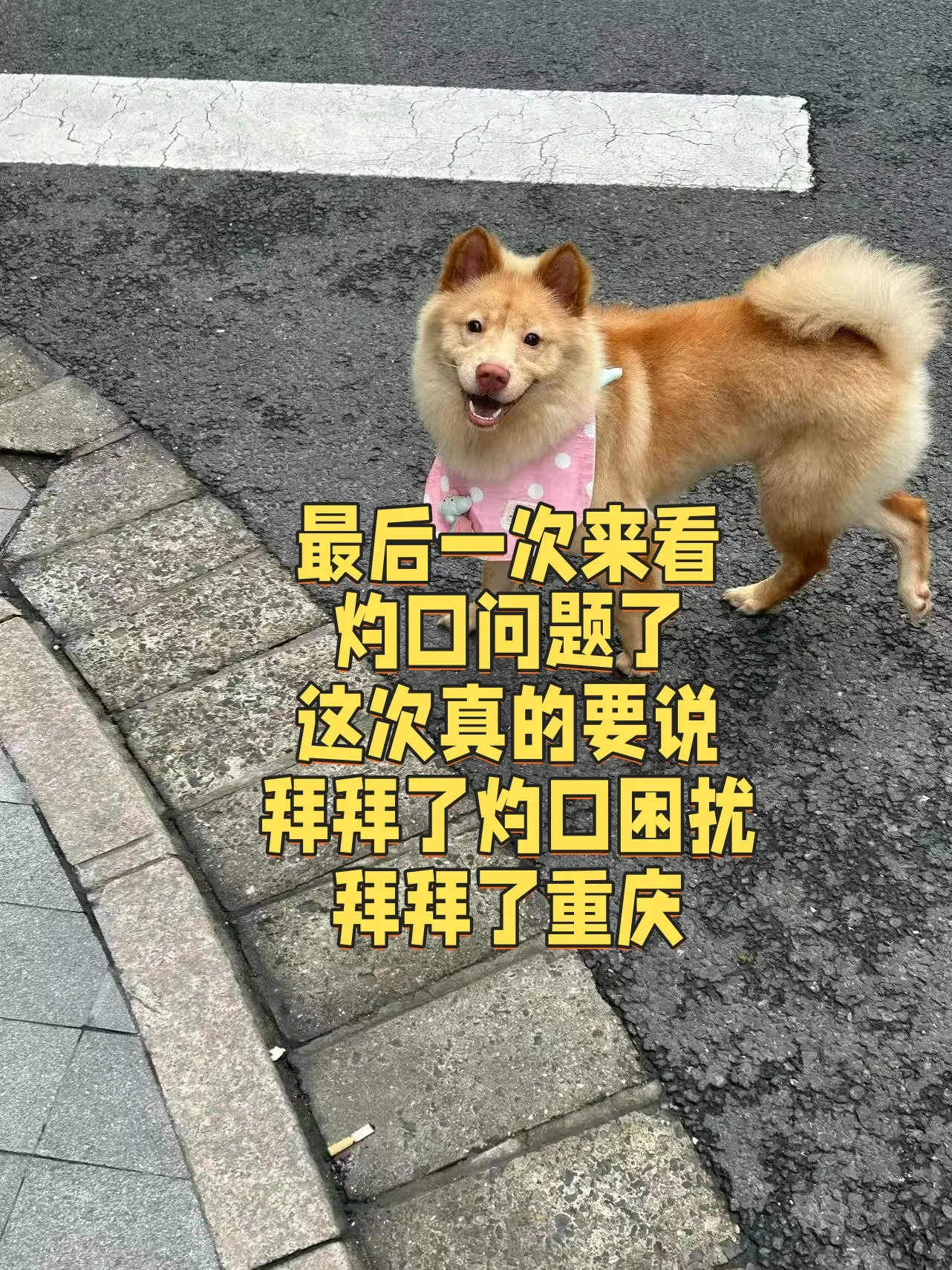 许久被灼口相关不适困扰,专程来重庆找王强沟通了解,此行收获很 - 抖音