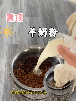 拌狗粮的时候为什么要放羊奶粉#新手养狗 #养狗经验分享 #小狗喂养方法 #养狗必备#幼犬