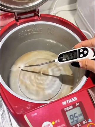 食品温度计家用高精度探针式婴儿奶温计厨房烘焙油炸测水温油温计#食品温度计