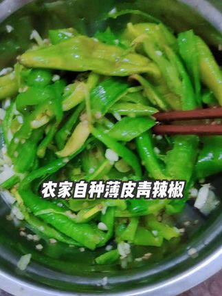 #辣椒 #青辣椒 #青皮辣椒 #薄皮青辣椒 #薄皮青椒