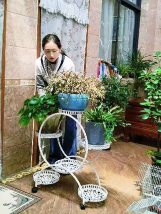 #家庭养花 #爱生活爱养花 #家居好物 #家庭种植 #绿植