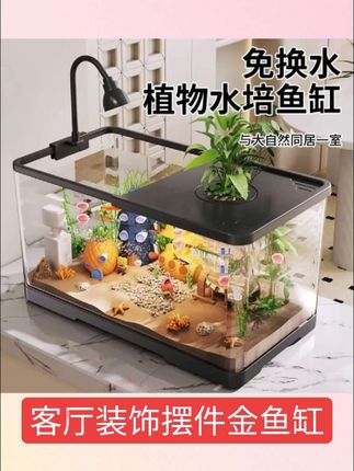 #好物分享 家用小型生态鱼缸免换水增氧过滤循环一体塑料高清透明桌面鱼缸#好物推荐 #视频同款 #萌宠出道 #萌宠好物分享