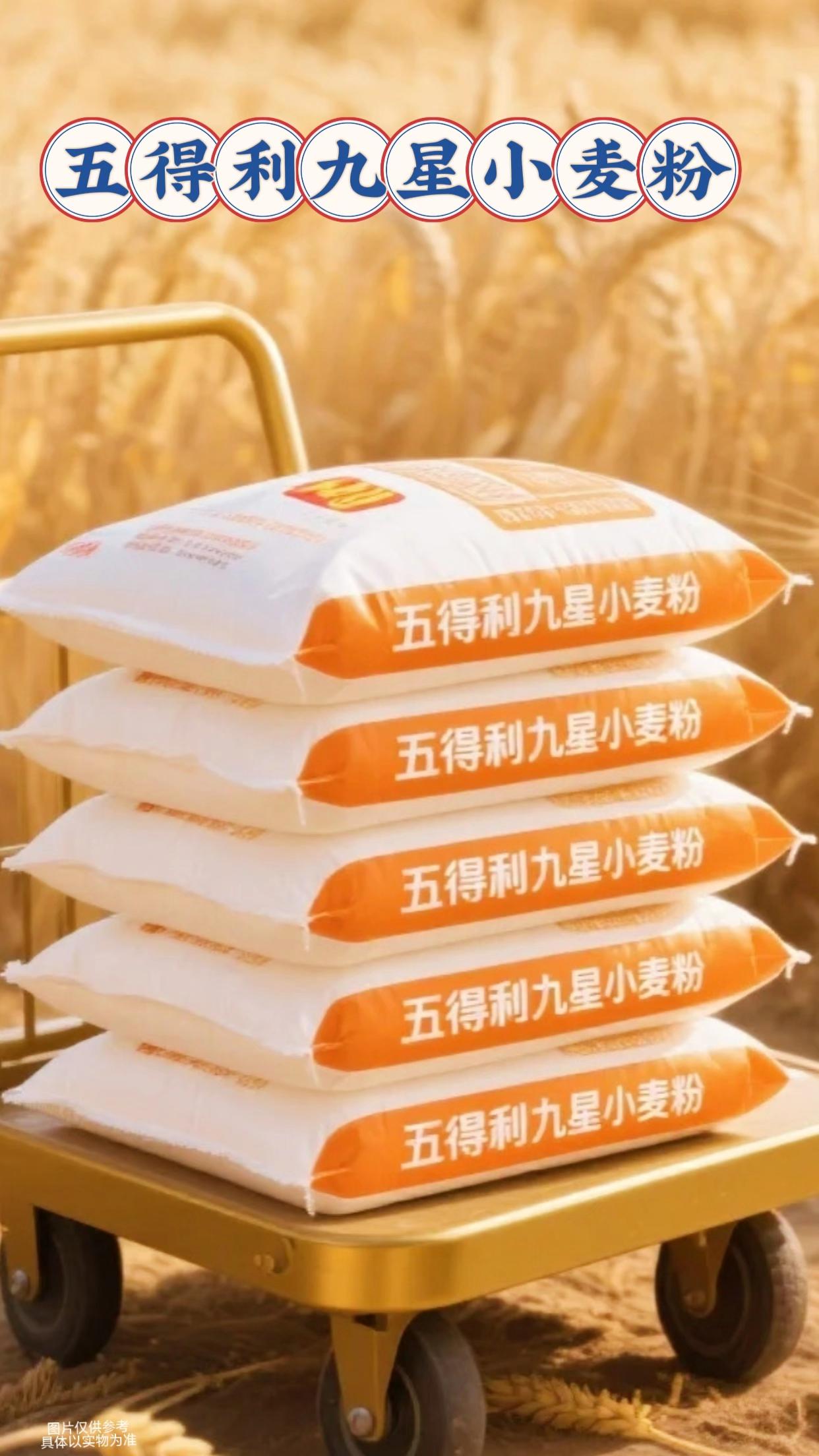 五得利九星小麦粉,严选优质小麦,经先进工艺精细研磨。粉质细腻,麦香浓郁,做饺子皮柔韧不破,蒸馒头松软蓬松,面食爱好者的厨房必备!#面粉 #五得利面粉 #面食 #美食推荐 #必备好物