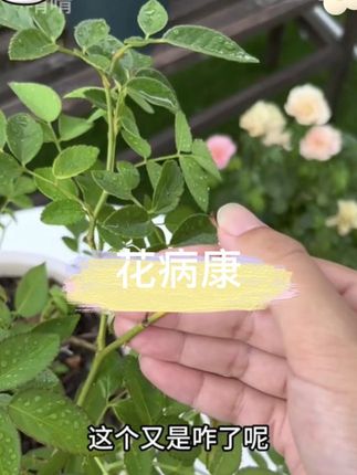 #正能量#正能量传递#正能量上热榜#一念江南官宣#李曦承让粉丝闭眼