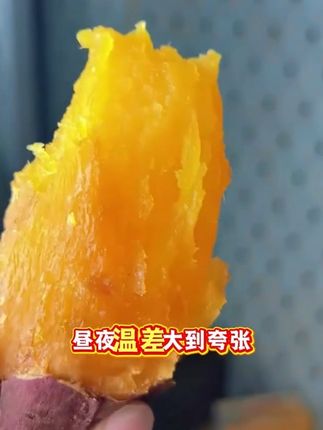 姐妹们,这个榴莲蜜薯真的太好吃了,你们一定要去尝尝!它是那种软糯香甜的口感,不是干巴巴的那种。我一般都是用空气炸锅烤着吃,又香又甜,比外面买的烤红薯还要好吃。如果你喜欢吃这种软糯香甜的红薯,那你一定要试试这个榴莲蜜薯,保证让你一口就爱上!#软糯香甜 #红薯 #粗粮 #快来一起尝个鲜 #榴莲蜜薯