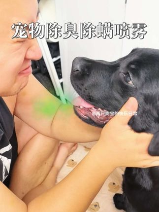 家里养宠有异味的,真的要试试网易严选这个宠物除臭除螨喷雾#萌宠好物#新手养狗#宠物除臭#养宠进阶指南#养宠经验分享