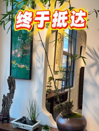 带着蒲草去旅行 #vlog日常 ,#彡田舍,#暴雨来袭 ,#景德镇,#陶然集