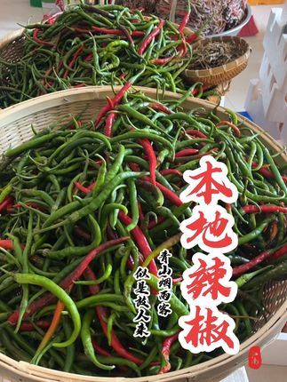 本地辣椒青红辣椒顺丰包邮一起发货来了进橱窗购买#优质农产品 #好食材好味道 #本地辣椒
