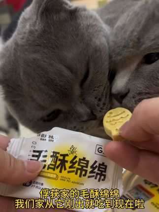 毛毛采摘季节 做好毛毛管理!#毛孩子的日常 #掉毛怪 #美毛冻干 #俘获毛酥绵绵 #猫狗双全