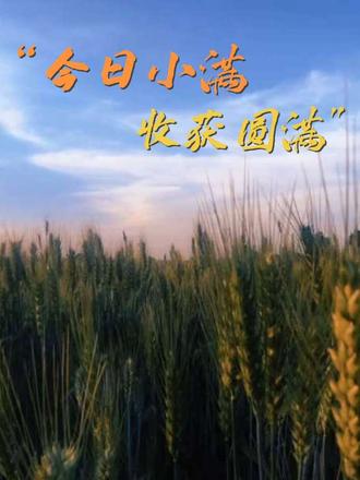 古人云:“水满则溢,月满则亏。”小满未满,是一种谦逊和进取的态度,也是一种知足常乐的心态。它告诉我们,人生不必困于对完美无缺的追求,每个阶段都有自己的幸福和满足。就像麦穗,继续饱满;就像果子,日日长大。将满未满,人生可追;半熟未熟,岁月可待。愿你心怀希望,步履不停,在时光里收获属于自己的圆满。#今天是小满 #小满胜万全 #治愈的麦田 #小满文案 #生活感悟