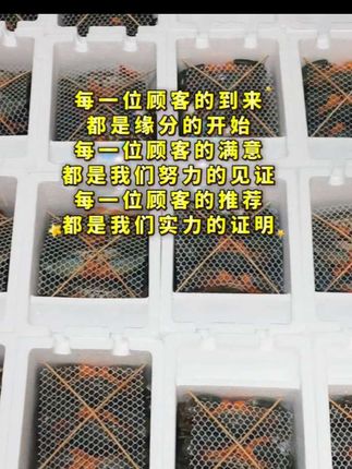最好的中秋祝福,是有人记得你、想你、为你送上一盒“刚好你会喜欢”的礼物#海鲜 #礼物 #中秋节 #三门青蟹#支持全国发货