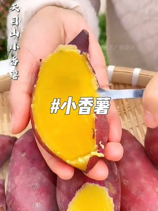 大语文时代,语文考试知识面非常灵活,一定要帮孩子多积累这些百科常识 #育儿 #家庭教育 #百科知识 #文学常识
