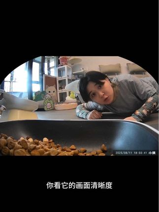 长假来临安排一个小佩带摄像头的喂食器#新手养猫 #猫咪监控 #留守猫 #小佩喂食器 #宠物喂食器