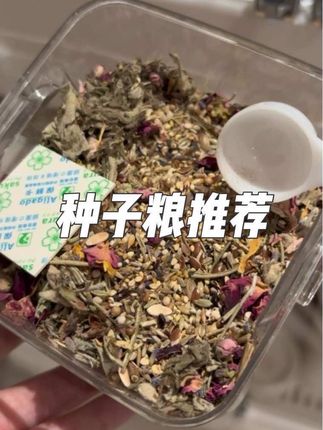 种子粮爆单了!!#宠物兔#新手养兔#侏儒兔 兔子掉毛!瘦弱!怎么办啊?兔子后脖子掉毛怎么办?兔子变成蒲公英怎么办??
