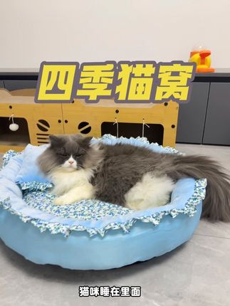 入秋啦!便宜又好看的碎花窝一定要给毛孩子安排上,加厚填充毛孩子躺在里面软软的很舒服#好物分享 #猫窝#狗窝#猫窝狗#四季通用狗窝推荐