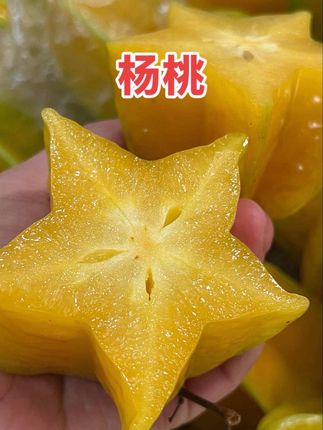 福建杨桃皮薄肉脆、清甜爽口、汁水丰盈、甜润无渣、风味诱人,可爱的外形让人忍不住咬上一口,快来尝尝吧!#杨桃 #好吃到停不下来 #口感特别好 #新鲜应季水果