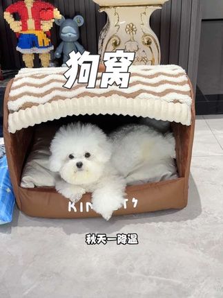 狗狗都是穴居动物,这种洞穴式狗窝狗狗才喜欢,躺在里面不仅安全感满满还保暖,秋天了快安排一个吧#萌宠好物 #狗窝 #洞穴式狗窝 #秋冬狗窝 #狗窝冬季保暖