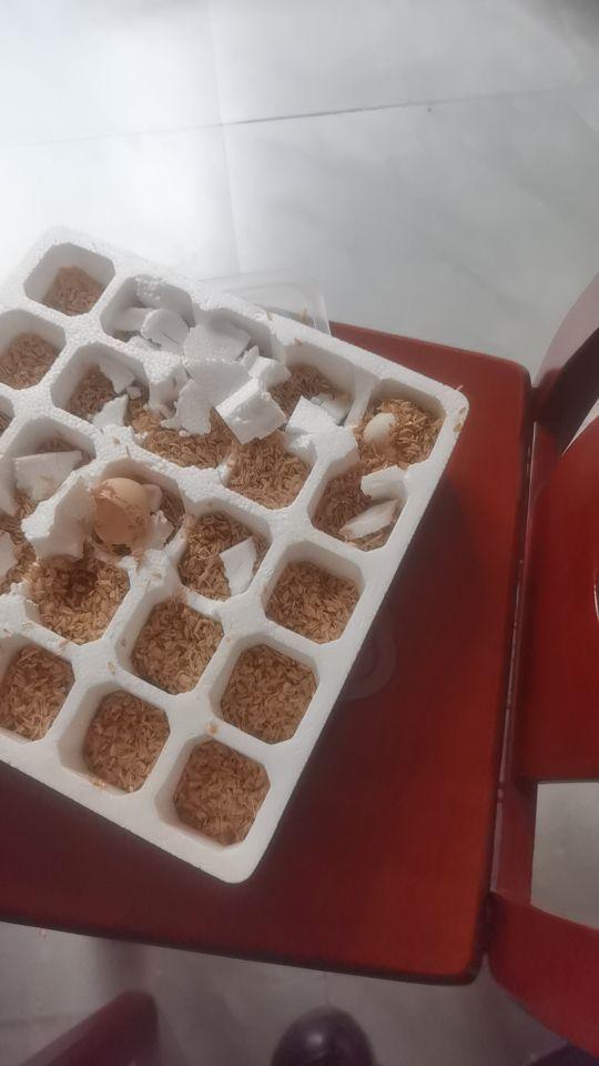 坏了两个#我在抖音买买买