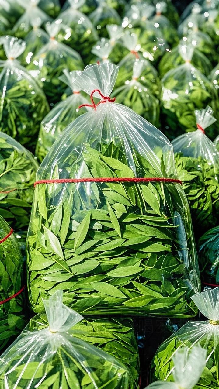 邂逅番泻叶,探寻自然的秘语 在植物的奇妙王国中,番泻叶宛如一位低调的隐士,静静散发着独特魅力。它的叶片修长而舒展,脉络清晰,如细腻的纹理诉说着岁月的故事。色泽鲜绿,恰似春日里最鲜嫩的新芽,透着蓬勃的生机。 当你轻轻触碰番泻叶,指尖传来的是它独特的质感,不粗糙也不娇弱,恰到好处的韧性让人感受到自然的巧妙雕琢。凑近细闻,那股淡淡的清香,瞬间将你带入充满阳光与泥土芬芳的田野。 番泻叶生长在温暖的角落,它是大自然的馈赠,承载着阳光雨露的恩泽。从采摘到晾晒,每一道工序都凝聚着匠人的心血。它以一种纯粹的姿态,等待着与人们相遇,成为生活中一抹别样的色彩,开启一段关于自然与美好的奇妙之旅。#每日一茶#茶#好物推荐#番泻叶