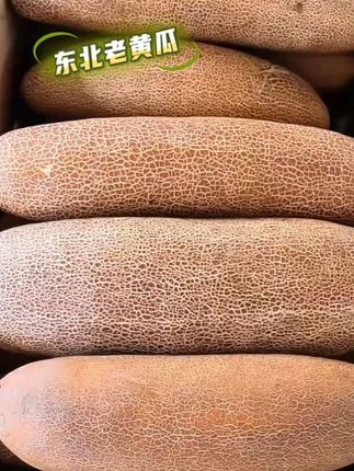 东北的老黄瓜炖汤老鲜灵了,炒土豆片贼下饭,还可以冷冻冬天吃#超好吃 #老黄瓜#家常菜 #营养美味