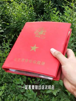 120枚伟人像章大全,像章收藏册#伟人像章 #像章收藏 #像章 #收藏 #纪念