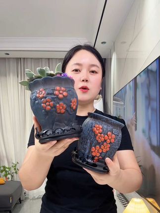 超高颜值又厚实的陶瓷花盆,结实又耐用,带透气孔,不担心植物闷根烂根,好看又实用#花盆 #陶瓷花盆 #多肉花盆 #美观实用