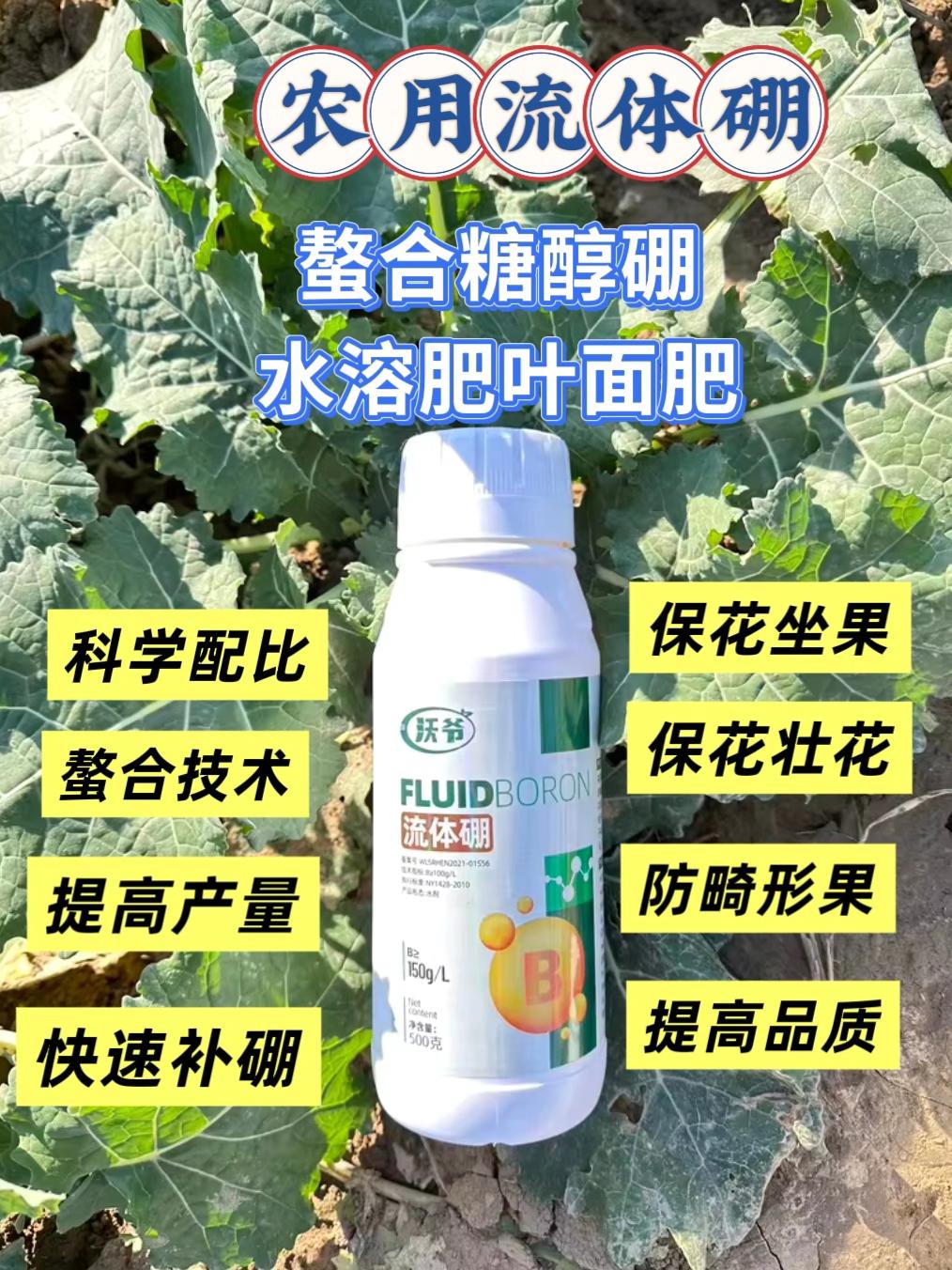 【流体硼,作物的“开花结果好帮手”】小分子形态,作物吸收快人一步。缓解缺硼导致的新叶发黄、生长受阻,助力花粉管伸长,减少落花落果。无论是果树、蔬菜还是粮油作物,一瓶流体硼,长势更旺,产量更高!#流体硼保花保果 #流体硼叶面肥 #流体硼原液 #流体硼生产厂家 #流体硼