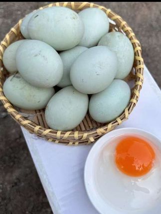 新鲜海鸭蛋 电白特产 海边散养 30枚 红树林#农家新鲜海鸭蛋#海边散养红树林土鸭蛋#口感特别好价格实惠 #营养丰富又健康 #好产品一起分享