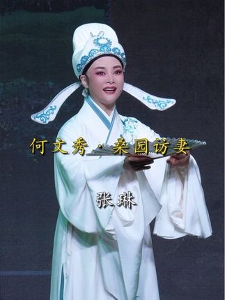 『张琳』|难得下乡温岭 一段经典尹派选段《桑园访妻》欣赏 #越剧张琳#越剧尹派唱腔欣赏 #绍兴小百花越剧团 #越剧何文秀桑园访妻 #经典唱段百听不厌