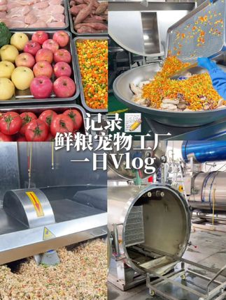体验进厂制作宠物鲜粮的一天!狗饭生产公开!生产完之后还需要保温静止一周,避免出现胀包漏气 #工厂实拍 #狗粮工厂 #笨初初 #笨初初鲜粮 #狗饭