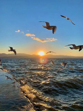 #许我耀眼 #赵露思 #陈伟霆 #李羲承 #杜克环游世界