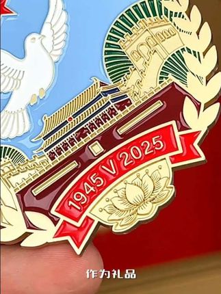 这套徽章礼盒真的太有收藏价值了!#徽章礼盒 #饰品 #收藏爱好者