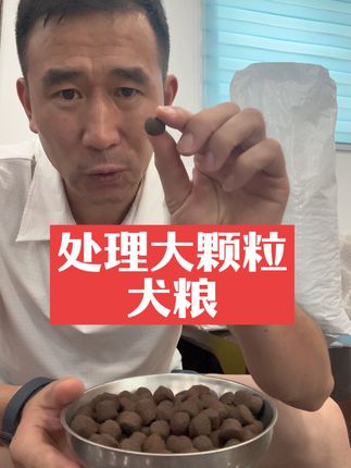 #格力犬 #惠比特 #格力犬爱好者