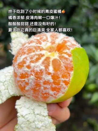 终于吃到了小时候的青皮蜜橘,皮薄肉嫩酸甜可口,汁水超足,我孕期就馋这一口!#青皮橘子 #橘子 #优质农产品 #口感特别好 #当季水果