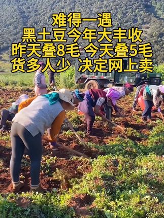 #三农 #黑土豆 #土豆 #抖音助农 #三农流量扶持计划