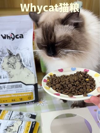 一天比一天胖了,都怪whycat这个冻干三拼猫粮#猫粮 #whycat猫粮