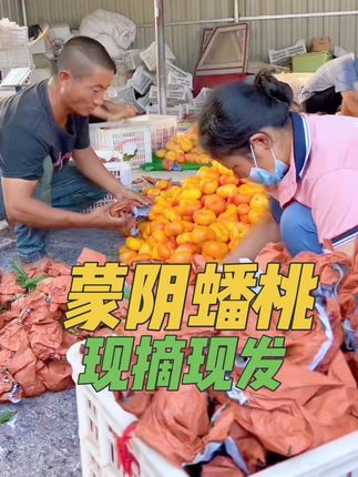 朋友们,虽然我未能亲临蟠桃产地,但品质保证,大家可以放心下单哈#优质农产品 #蒙阴蟠桃