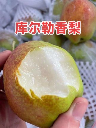 新疆库尔勒香梨个大饱满、皮薄肉厚、肉质细腻、脆甜多汁、果香浓郁、营养丰富、回味无穷,甜蜜的滋味惊艳你的味蕾,快来尝尝吧!#梨 #新鲜应季水果 #吃货 #好吃到停不下来