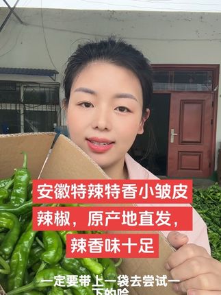 安徽特辣特香老品种土辣椒,小皱皮薄皮辣椒,炒辣子鸡,小炒肉,辣香味十足,欢迎新老客户下单咨询#三农 #下饭菜 #新农人计划 #特辣辣椒 #优质农产品