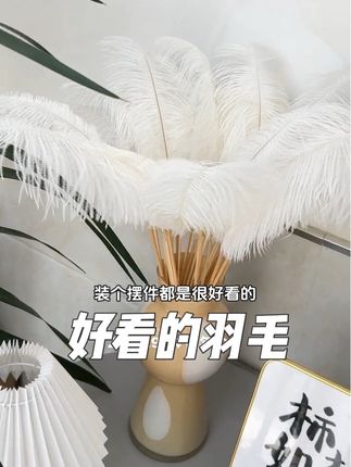 花店常用羽毛装饰#羽毛#摆件